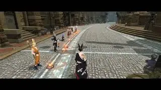 Final Fantasy XIV RIP Akira Toriyama, phoenix server