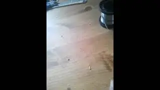 Сделали ВЕНТИЛЯТОР с Даки!