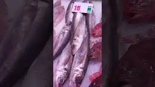 Fish from Biskay. Santander fish market/ Cantabria Spain
