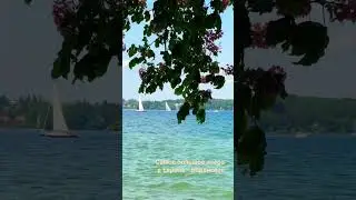 #shortvideo #shprts #europe #shorts