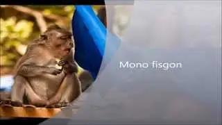 Fotos Tomadas En El Momento Exacto, Imágenes Graciosas 2015
