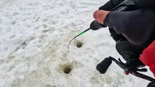 УДАР-ПРОМАХ, УДАР - ЕСТЬ СУДАК! Рыбалка на балансир, на малой реке, зимой в 2024