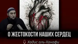 О жестокости наших сердец