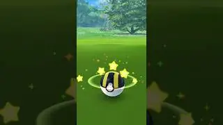 my favourite shiny Pokemon #pokemon #shinypokemon #pokemongo #shiny #shinyhunting #shinyhunt