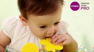 Oribel PortaPlay Baby Activity Center
