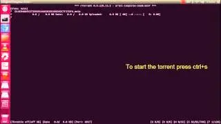 How to Download Torrent using Terminal
