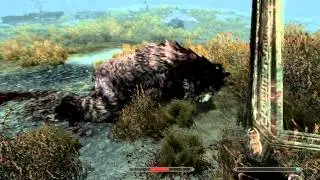 Unlisted - Skyrim (Mod Test)