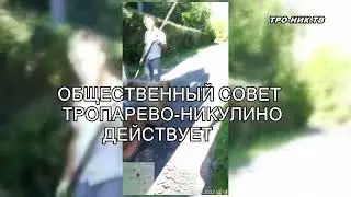 Общественный совет Тропарево-Никулино выявил нарушения правил работ в Тропаревском лесопарке Москвы