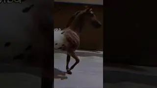 - Не могу глаз оторвать 🖤 