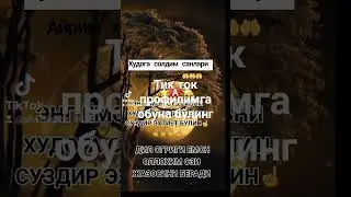 26 мая 2024 г.