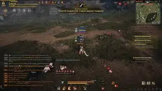 Black Desert Внимательный Миша