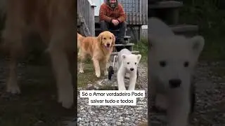 olhar que lindo família linda escute