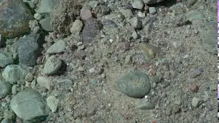 Sand falling on a green screen background pattern