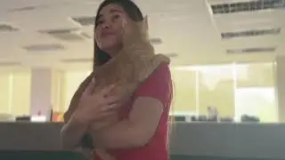 Cat and diona
