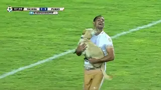 Pumas Out Of Context