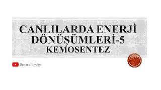 12. Sınıf Canlılarda Enerji Dönüşümleri - 5 (Kemosentez)