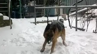 Крымская зима