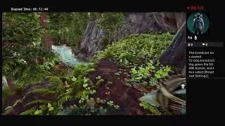 Ark#1