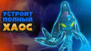 Интересные факты  Хаос