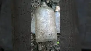 Флакончики после духов СССР откопанный на старой свалке#старые флакончики после духов#коп