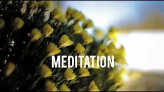 Медитация - Любовь (звуки жёлтых цветов)