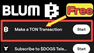 Blum task Make a TON Transaction | how to complete Blum task dogs token giveaway make a ton Transfer
