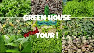 Good Morning Green House! - APCI GH Virtual Tour