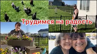 Rural Life in the USA | Planting Flowers🌺 🌸🌼