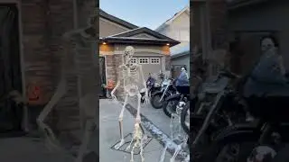 #vlog