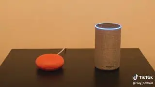 Alexa vs google so funny