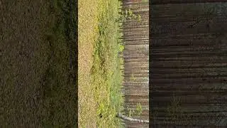 Осенняя пора.