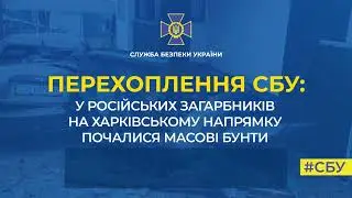 "Опять бунт, на*уй! Как я понял, личный состав… весь. Практически все!"