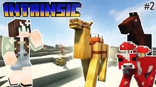 Exploring and Wanting to Take EVERY Animal! | Intrinsic SMP 6| Minecraft [Ep.2]