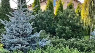 Ландшафтный дизайн участка 20 соток. Растения 🌱 Садового центра Green Space