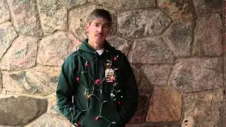 Professional Holiday Light Installation