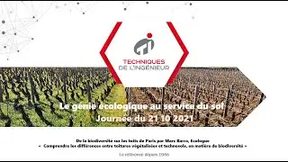 De la biodiversité sur les toits de Paris