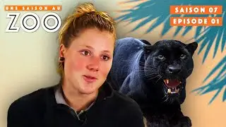 Charlotte is back at the Zoo! | S07EP01 | Full Show | A Season at the Zoo