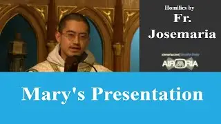 Mary's Presentation - Nov 21 - Homily - Fr Josemaria