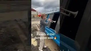 Dumpster Reverb 🔥 