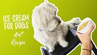 Dog ice cream recipe (vegan - sugar free)