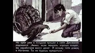 Диафильм Флаг на крыше барака