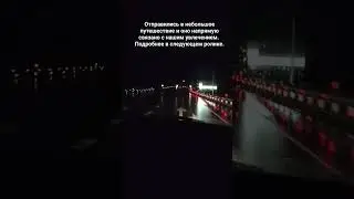 4 ноября 2023 г.