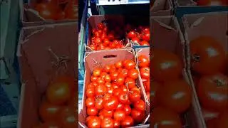 🏵Февраль - это почти весна🏵