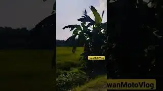 Jalan Jalan Desa Banyuroto Kebumen