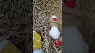 Гуся, вязаная игрушка 