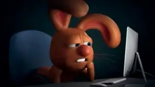 НОЧНАЯ КАТКА