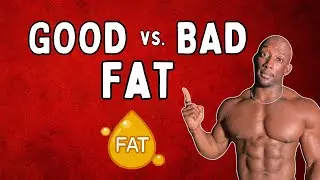 Good vs. Bad Fats: Are You Eating the Right Ones? 🥑🍔