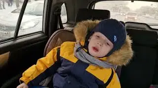 Еду за кошкой/СНТ Любитель 1 город Челябинск