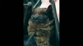Ты меня снимаешь?