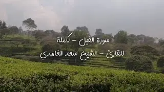 سورة الفيل - کاملة للقارئ - الشيخ سعد الغامدي
